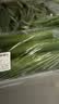 【水果菜】荷兰水果黄瓜约400g 实拍图