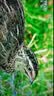 KTC京东联名款 京东OS开机无广告电视50JD 01系列50英寸 一键看央视 高清全面屏一电视机T50K4 实拍图