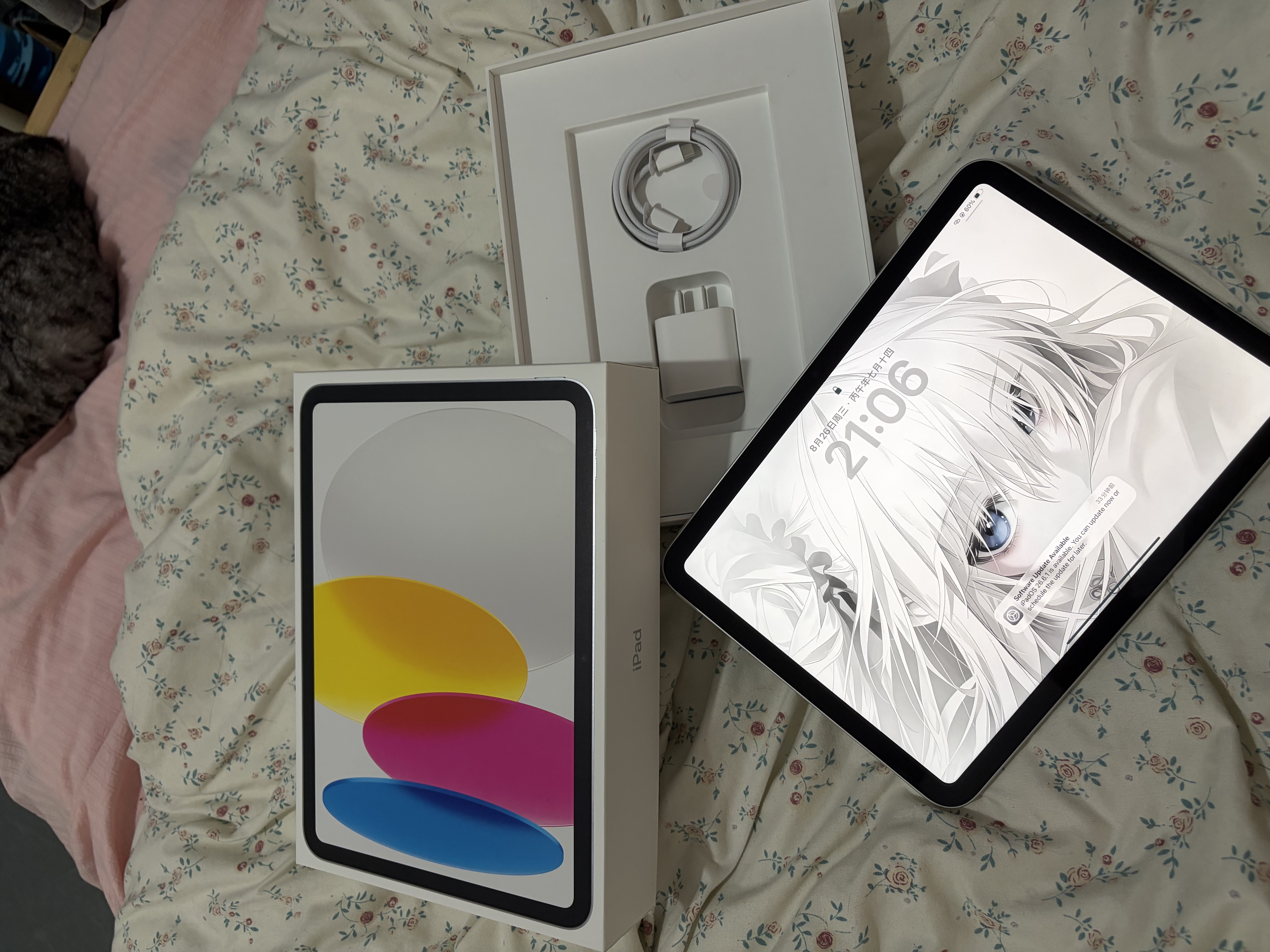 Apple/苹果 iPad 11英寸 A16芯片2025年款 平板电脑 (256GB WLAN版学习办公娱乐)银色 实拍图
