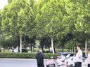 华为nova 16 时代少年团代言 512GB 幻彩贝母 后置红枫影像 麒麟9010S芯片 直屏智能手机 实拍图