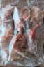 龙大肉食黑猪多肉大骨块净重4斤 ＞45%带肉率 猪骨头烧烤食材 黑猪肉生鲜 实拍图