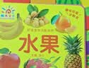 阳光宝贝 好宝宝学习起步书（套装全6册）幼儿启蒙认知早教撕不烂卡片书水果蔬菜颜色动物 暑假作业 一升二暑假衔接 小升初暑假衔接  实拍图
