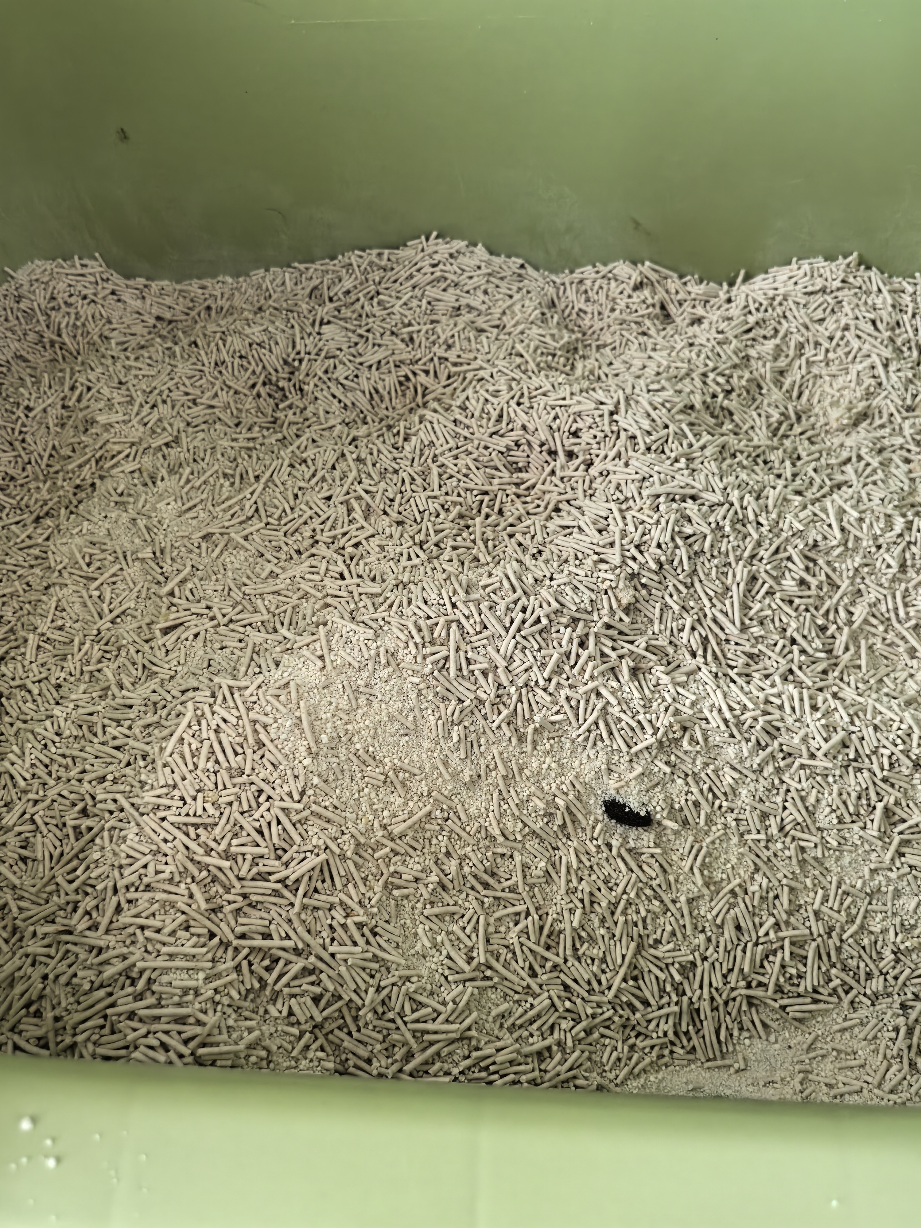 pidan猫砂 豆腐猫砂2.4kg*6包强力吸臭纯猫砂 可冲厕所非膨润土砂 实拍图