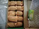 佳沛（zespri）新西兰金奇异果10个装单果重103-114g猕猴桃水果礼盒 实拍图