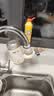 小熊（Bear）净水器水龙头 家用自来水前置过滤器净水机净化器一体 厨房净化可清洗滤芯滤水器 1机3芯 CX-E0028 实拍图