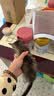 萌宠之星猫高蛋白羊奶粉0乳糖羊奶粉300g幼猫奶粉新生猫羊奶粉宠物羊奶粉 实拍图