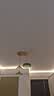 飞利浦（PHILIPS）灯带LED灯条220V家用客厅卧室吊顶线条灯软光带超亮无主灯照明 1米-30珠-暖白5W-不含配件 实拍图
