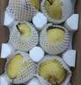 京鲜生河北卢龙雪花梨 净重8斤装 单果250g+ 新鲜水果源头直发 实拍图