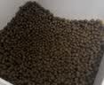 GO！SOLUTIONS原装进口 无谷九种肉全猫粮16磅/7.26kg 多肉成猫幼猫通用粮 实拍图