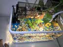 阔庭（KUOTING）缸水族箱生态桌面鱼缸新款懒人鱼缸生态造景过滤制氧一体机白色 实拍图