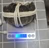【活蟹】漁家师傅大闸蟹全母3.0-3.3两8只去绳足重鲜活螃蟹现货生鲜水产礼盒金秋送礼 实拍图