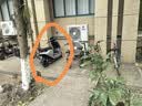 九号（Ninebot）N85C电动摩托车 9号电动电瓶车成人小型铅酸电摩-吉利银 实拍图