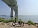 大行（DAHON）P8折叠自行车20英寸8级变速单车KBC083 黑色经典版-京仓 实拍图