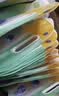 妙洁干湿两用杂粮收纳袋大口径敞口 外出携带 防虫可冷藏食品级3L*5只 实拍图