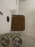 皇家猫粮 成猫猫粮 营养均衡 F32 通用粮 1-7岁 2KG 实拍图