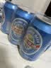 燕京啤酒 蓝听11度清爽拉格啤酒330ml*24听 国庆节送礼 实拍图