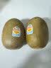 佳沛（zespri）新西兰金奇异果22粒巨大原箱146-175g猕猴桃水果礼盒 实拍图
