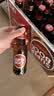 超级波克（SUPER BOCK）经典黄啤酒 进口啤酒  250ml*24瓶 聚会烧烤送礼整箱装葡萄牙原装 实拍图