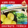 京鲜生 长城河北雪花梨 冰糖雪梨 净重10斤装 单果250g+ 新鲜水果 实拍图
