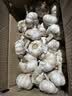 康田汇 2026新鲜大蒜现挖新蒜紫白皮大蒜批发鲜蒜红皮蒜干蒜 精选2-2.5斤单果4-5CMM净重1.6斤+ 新鲜 实拍图