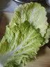 大白菜约2kg 实拍图