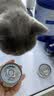 多特思猫罐头猫湿粮主食罐浓汤补水罐猫咪零食下午茶金瓜奶露60g*6罐 实拍图