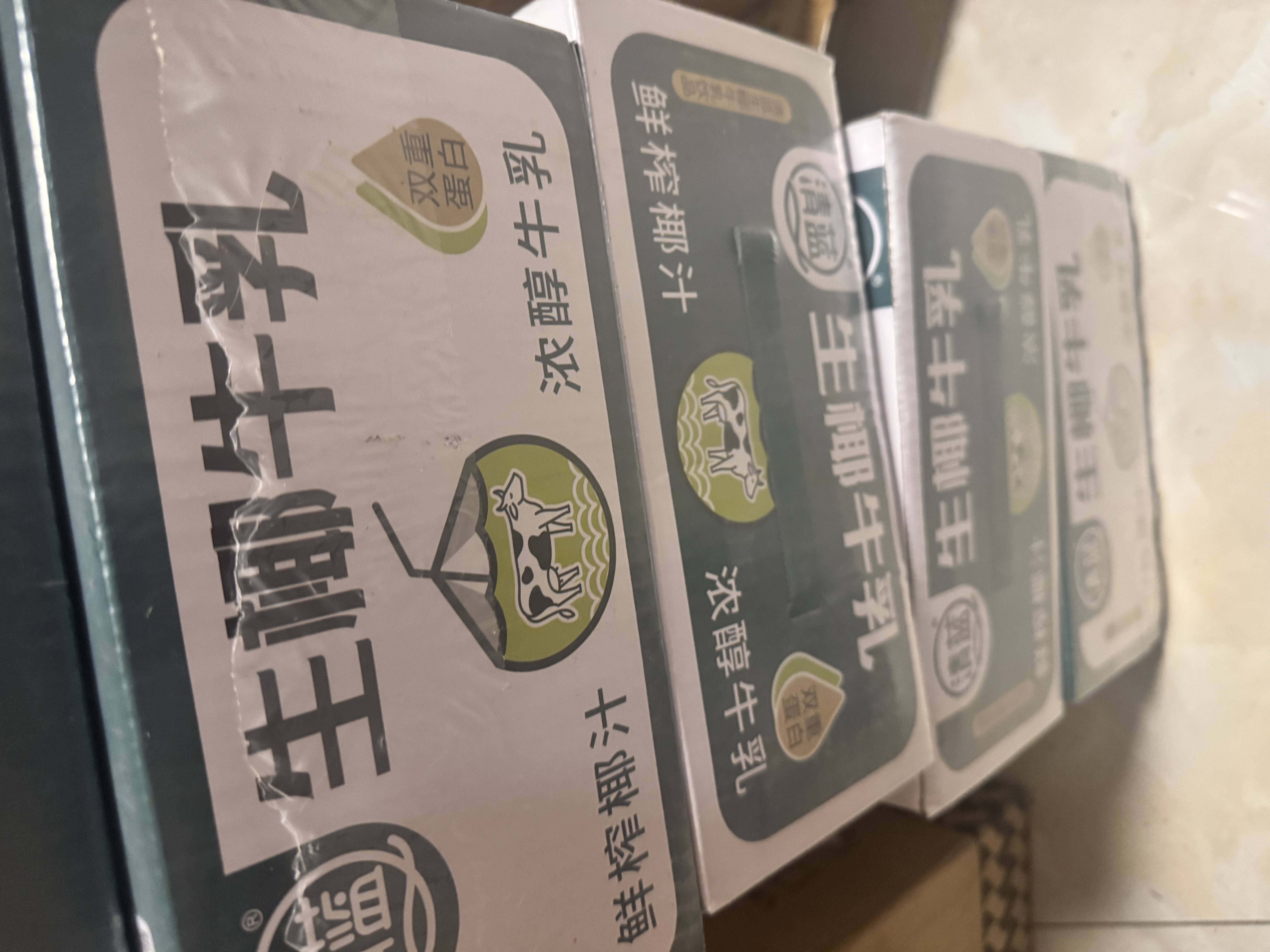 清蓝生椰牛乳300ml*8瓶鲜榨椰汁营养早餐奶动植物蛋白秋冬饮品饮料 实拍图