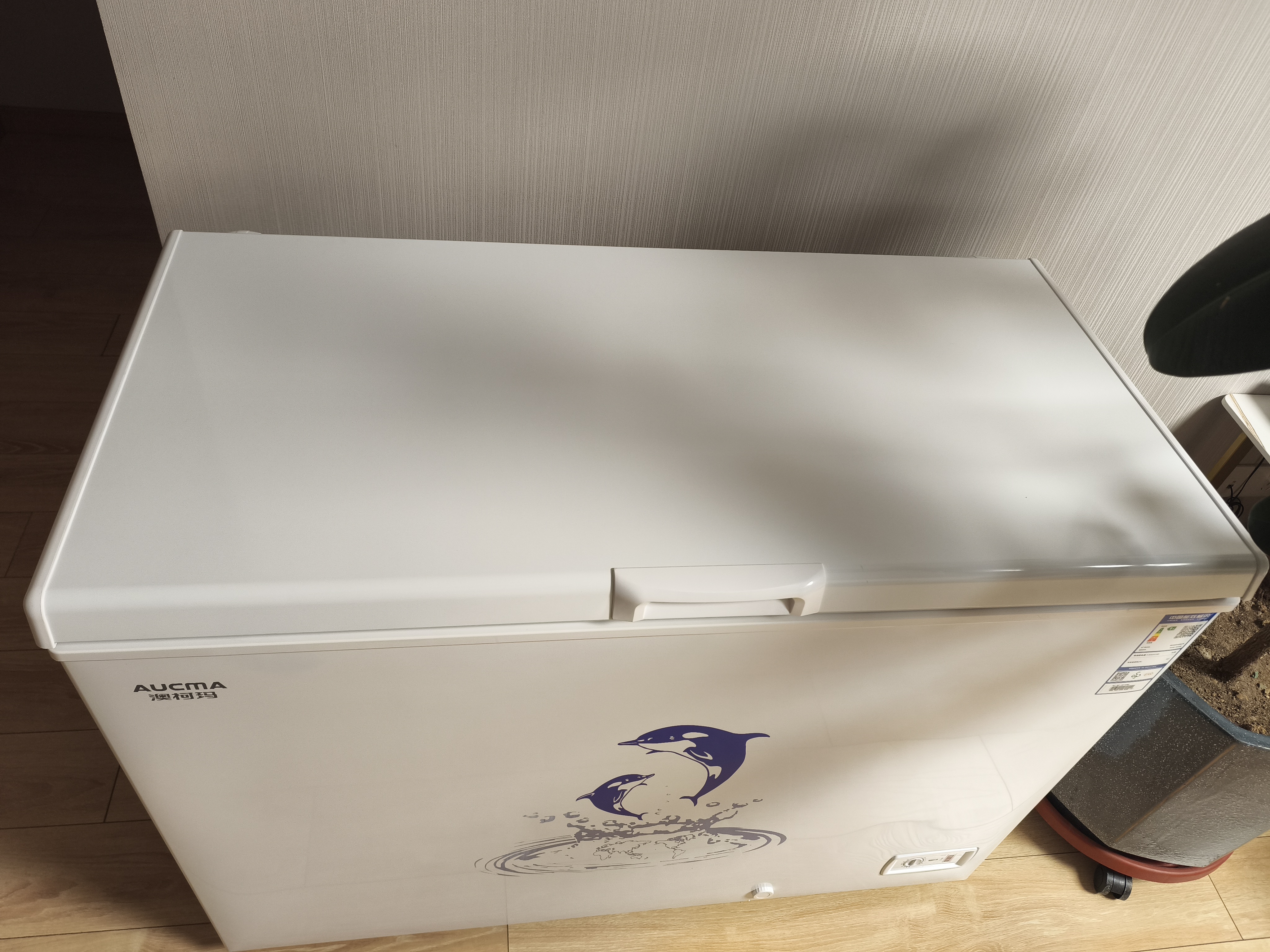 澳柯玛（AUCMA）307升单温冷柜家用减霜大冰柜 冷藏柜冷冻柜转换卧式冰箱雪糕 柜一级能效BC/BD-307HNE 以旧换新 实拍图