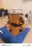 小熊（Bear）纯钛养生壶 喷淋式煮茶器 煮茶壶0胶水 1.5L大容量 办公室保温一体泡茶热水壶 2026新款 ZCQ-K15J3 实拍图