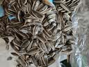 华味亨原味瓜子500g葵花籽坚果炒货香瓜子追剧小吃办公休闲零食1斤装 实拍图