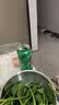 喜力经典500ml*18听整箱装喜力啤酒Heineken喜宴聚餐啤酒送礼京东自营 实拍图