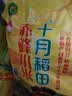 十月稻田 赤峰小米 1kg 内蒙古敖汉旗 黄小米杂粮 小米黄小米 实拍图