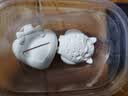 石膏娃娃盒装涂色白胚儿童DIY玩具网红爆款娃娃手工制作涂鸦白胚 3盒装（2娃娃6色颜料1画笔1图纸 实拍图