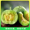 京鲜生 绿宝香瓜甜瓜  净重3斤起 3-6粒装 生鲜水果 实拍图