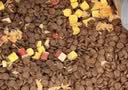 网易严选犬粮全价三拼鸭肉梨狗粮冻干 清火美毛去泪痕 泰迪比熊10kg囤货装 实拍图