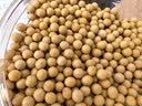 方家铺子中华老字号  有机黄豆2.6斤/罐[可打豆浆 东北大豆五谷杂粮粗粮] 实拍图