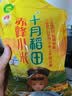 十月稻田 赤峰小米 1kg 内蒙古敖汉旗 黄小米杂粮 小米黄小米 实拍图