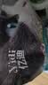 亿迪猫粮全价成猫幼猫冻干全阶段5斤布偶蓝猫英短橘猫通用小包装2.5kg 实拍图