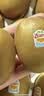 佳沛（zespri）新西兰金奇异果30-33粒原箱103-124g猕猴桃水果礼盒 实拍图