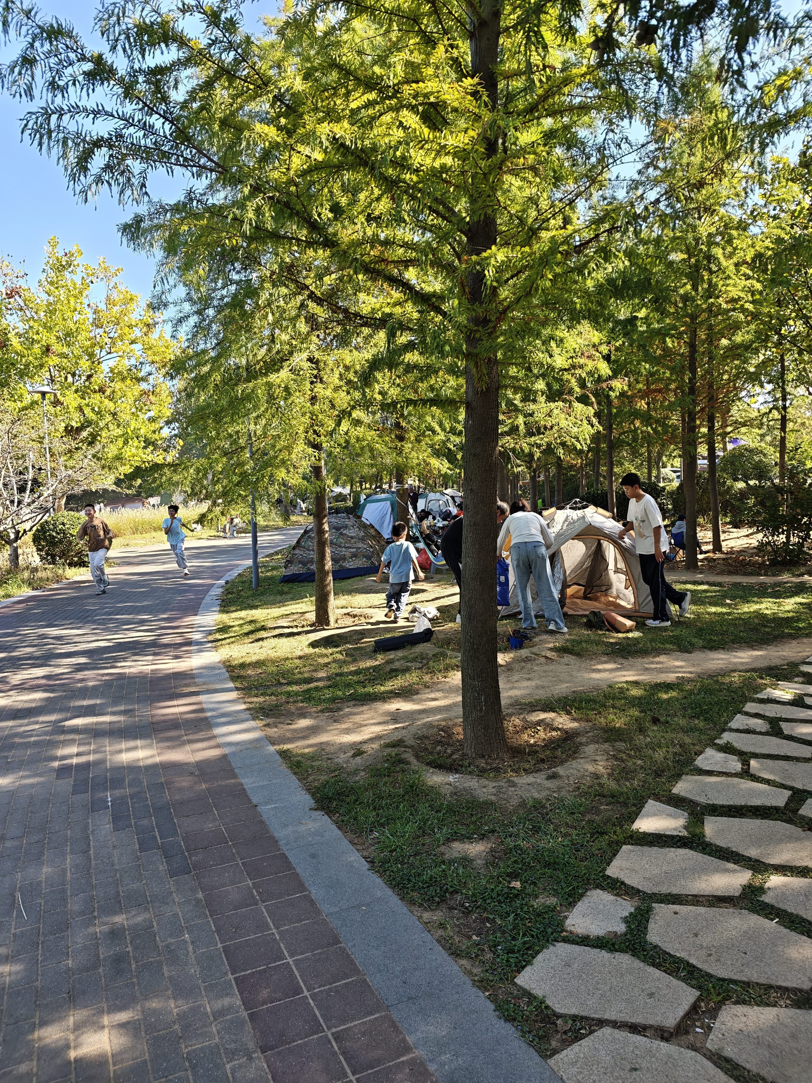 尚烤佳（Suncojia）防潮垫户外地垫露营加厚野餐帐篷野炊野外防水垫子便携地布打地铺 实拍图