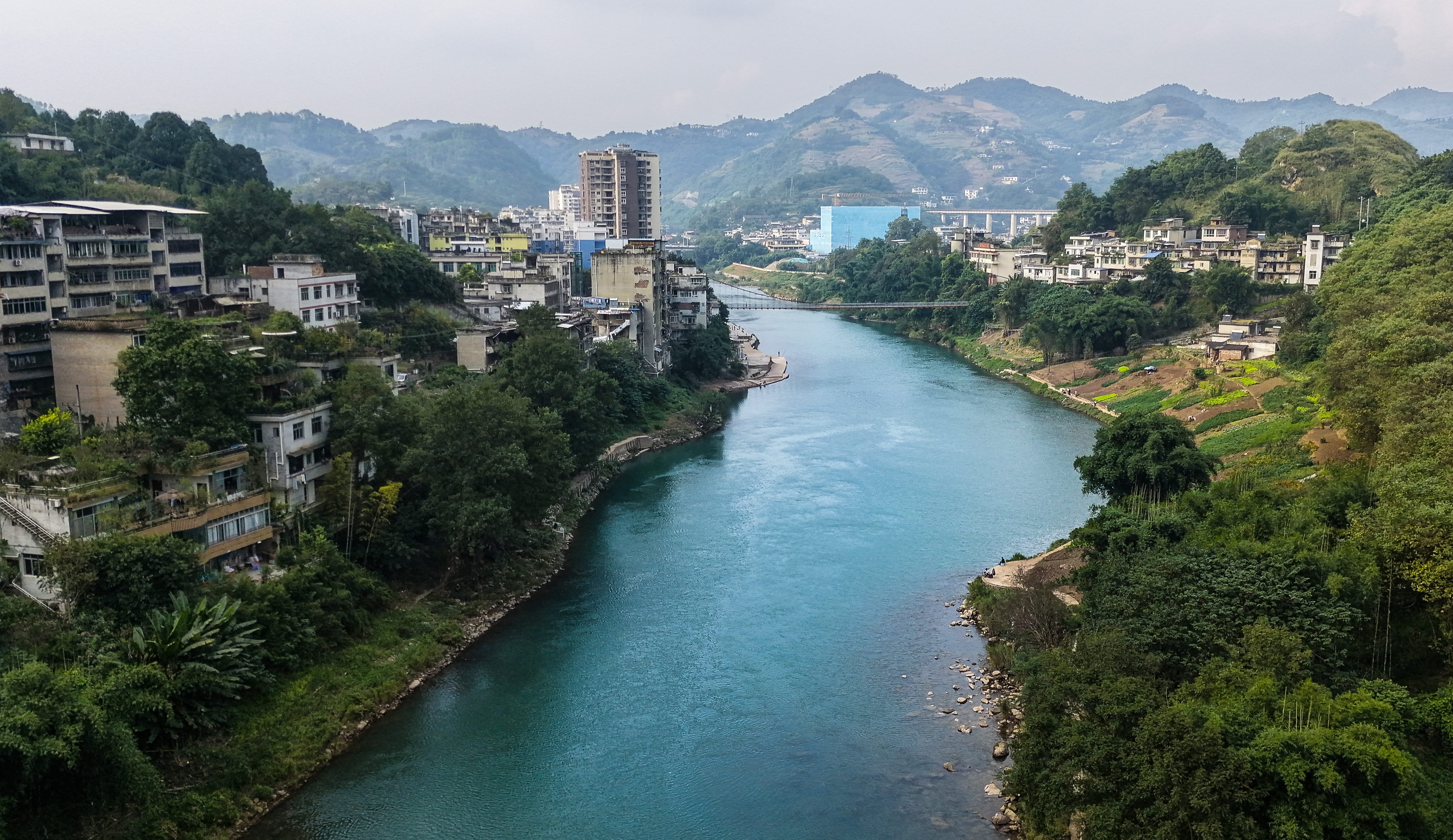 佳能（Canon）RF50F1.8人像大光圈定焦镜头 佳能501.8 小痰盂RF镜头 微单相机 实拍图