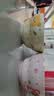 【天天低价】新款釉下彩陶瓷碗餐具套装少女心ins风陶瓷碗勺 小熊葫芦碗两碗两勺 实拍图