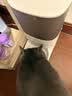 霍曼（Homerun）Real智能自动喂食器猫粮定时猫咪自动投食器PF20（配陶瓷碗） 实拍图