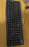 罗技（Logitech）K120 键盘 有线键盘 办公键盘 全尺寸 黑色U口 104键 实拍图