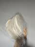 俏侬 披萨饼底18cm 5片装630g/盒（8英寸烤盘适用）烤箱烘焙食材 实拍图
