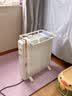 先锋石墨烯电热油汀取暖器电暖器电暖气片家用15片全屋升温智能恒温低噪节能烘衣加湿DYT-Z21 实拍图
