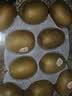 佳沛（zespri）新西兰金奇异果10粒巨大果146-175g猕猴桃水果礼盒 实拍图