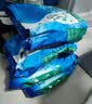 雷米高（RAMICAL）澳丽得 海洋鱼味全价幼猫成猫猫粮10kg(500g*20分袋）20斤 实拍图