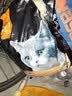 亿迪 冻干猫粮幼猫成猫10斤全价布偶蓝猫英短成年全阶段 实拍图