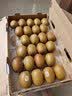 佳沛（zespri）金奇异果25-27粒原箱特大果124-146g猕猴桃水果礼盒 实拍图
